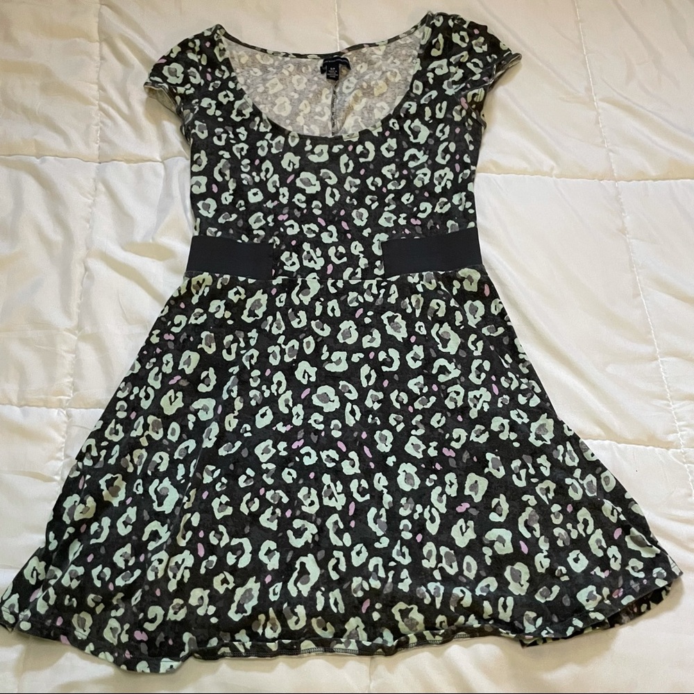 American Eagle Leopard Skater Dress